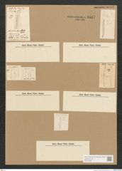 Diatomeae indet. Zeichnungen Sammlung Grunow Nr. 4517 (NHMW-BOT-W0372485)
